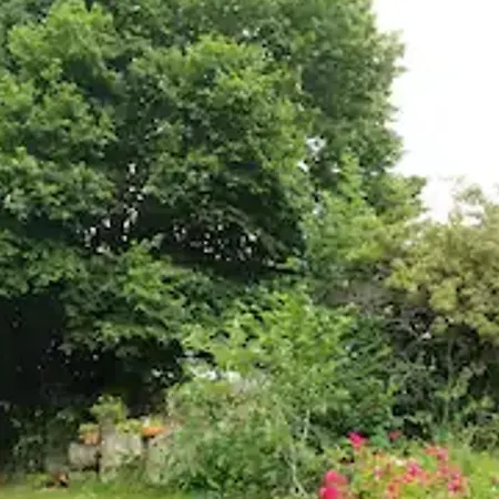 Hébergement de vacances Grande Demeure Avec Parc Et Wifi, Proche Du Mans - Fr-1-410-481 Rouëssé-Vassé