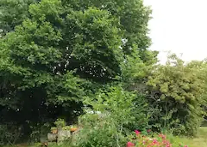 Holiday home Grande Demeure Avec Parc Et Wifi, Proche Du Mans - Fr-1-410-481 Rouesse-Vasse